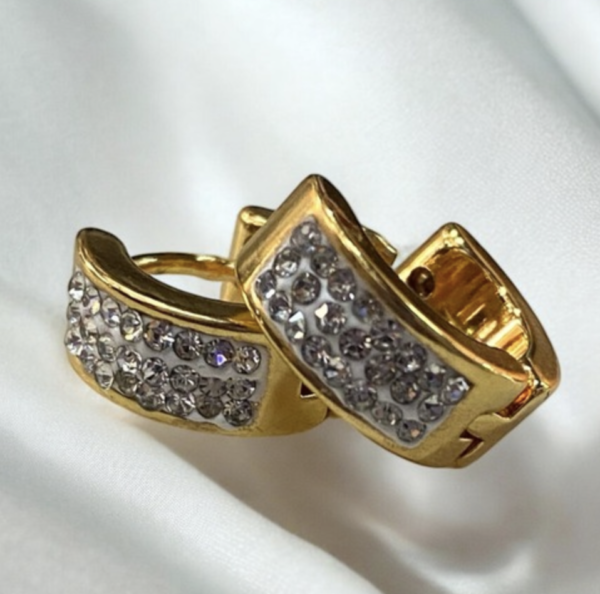 Aretes WA61